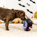 Dog playing with a Halloween-themed toy in a decorated room with pumpkins and bats.