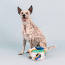 Dog with a colorful toy on a light gray background