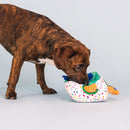 Dog sniffing a colorful toy with a plain background