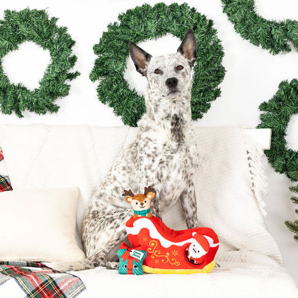 Dog sitting on a couch with a Christmas-themed toy, surrounded by festive wreaths.