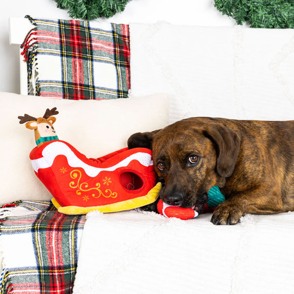 Dog lying on a couch with a Christmas-themed toy and plaid blanket.