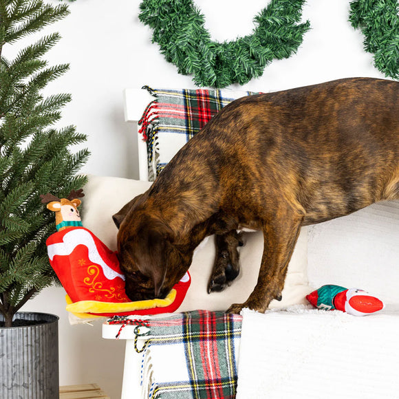 Dog playing with a Christmas-themed toy on a decorated couch with a wreath in the background.