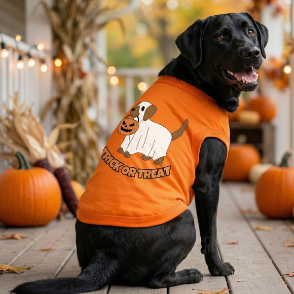 Doggie Design Trick or Treat Pup Dog Shirt, Sunset Orange for Dogs & Cats
