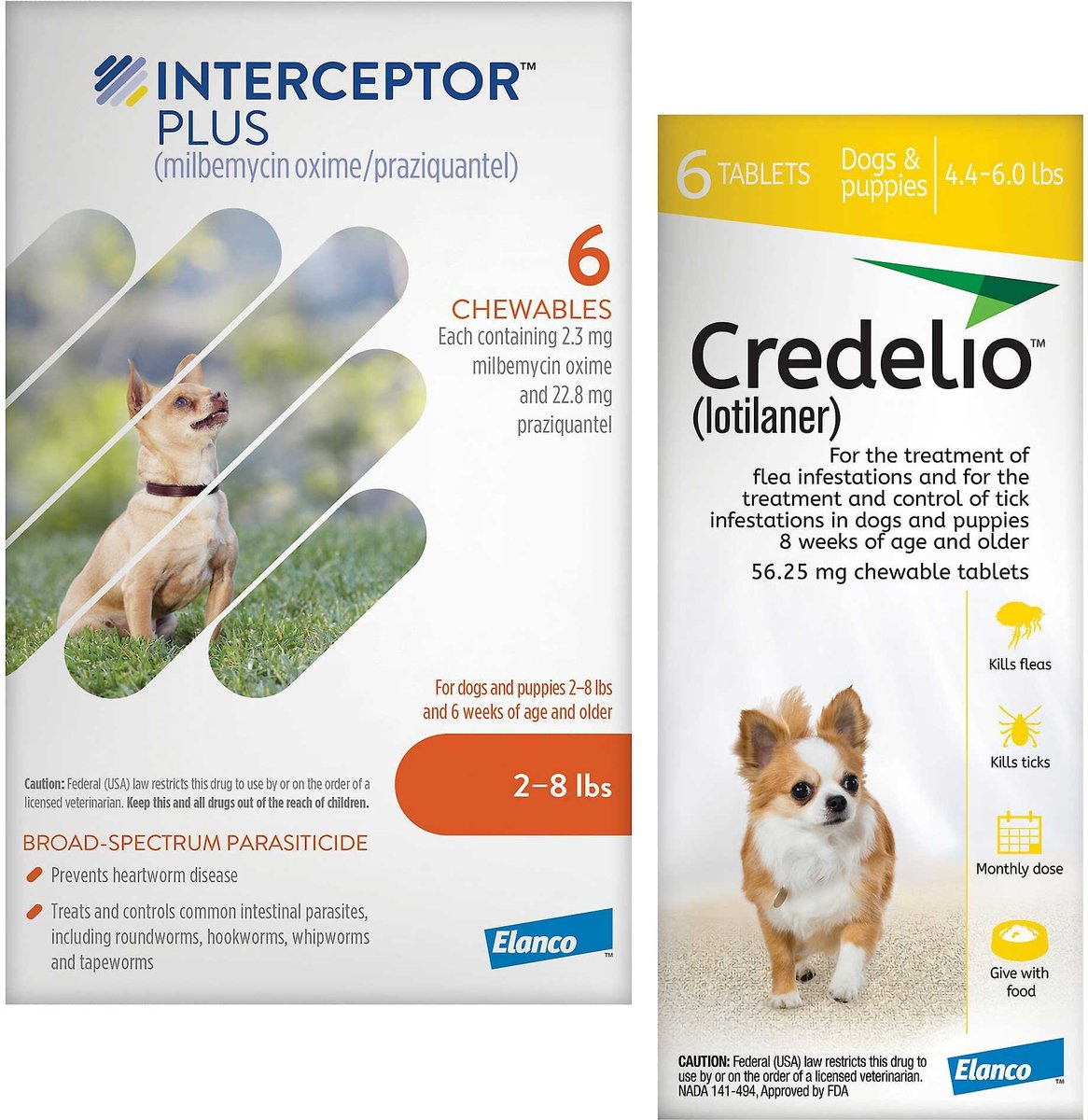 Credelio + Interceptor Plus 6-Month Bundle