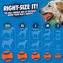 Chuckit! Bucket with 8 Medium Balls Toy For Dogs -Ultra