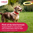 Galliprant (Grapiprant) Flavored Tablets for Dogs-6