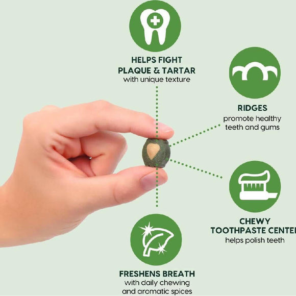 Ark Naturals 4-in-1 Brushless Toothpaste Chews for Extra Small Dogs Mini-Sized (4 oz)