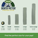 Ark Naturals 4-in-1 Brushless Toothpaste Chews for Small Dogs Value Pack (60 chews)