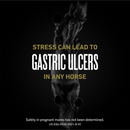 UlcerGard Oral Paste for Horses