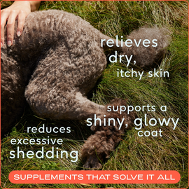 Native Pet Omega 3 Fish Oil Skin & Coat Health Support for Dogs - 0