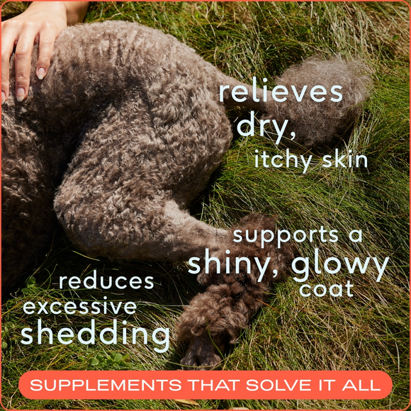 Native Pet Omega 3 Fish Oil Skin & Coat Health Support for Dogs