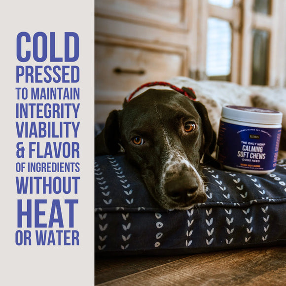 The only Hemp Calming Soft Chews Dog Need