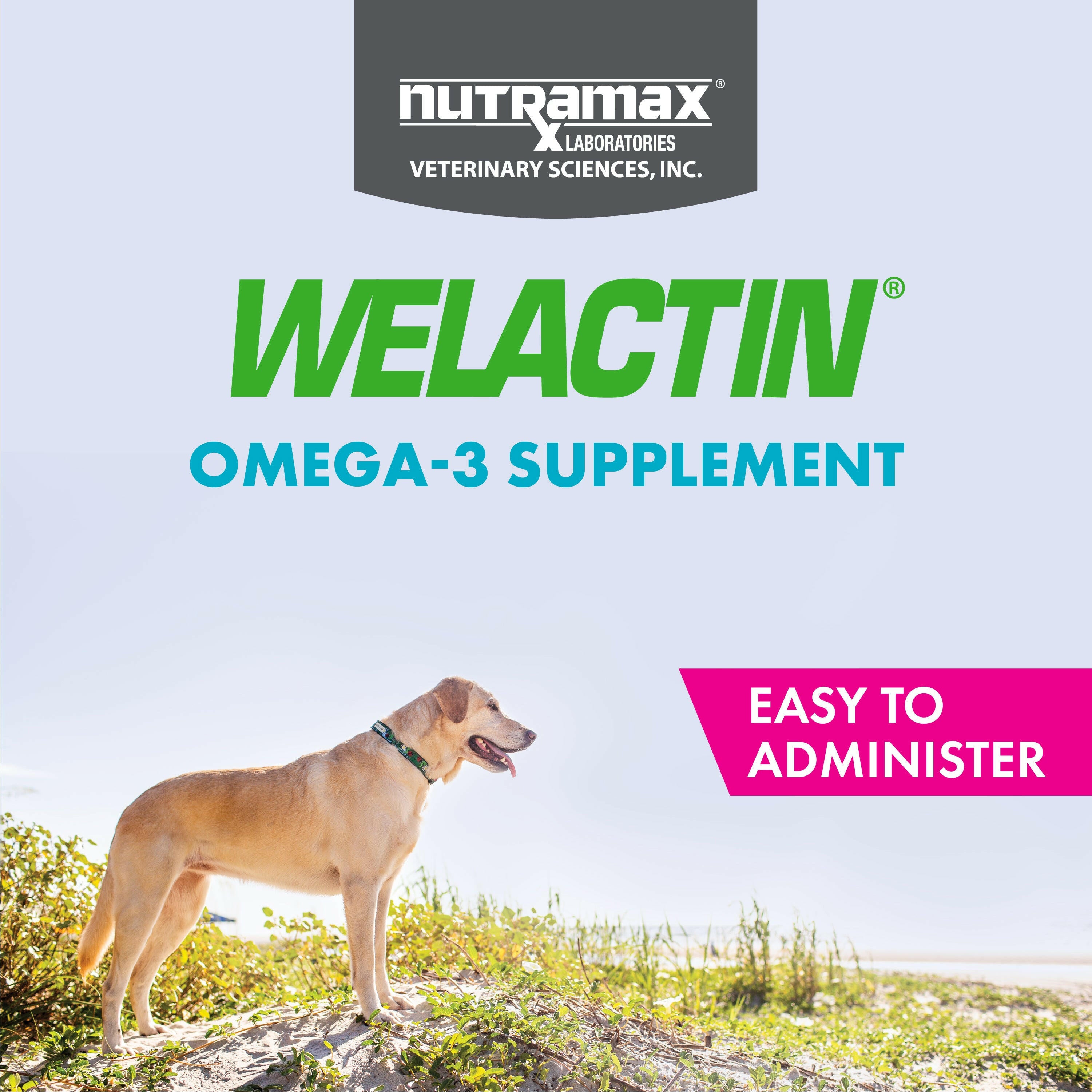 nutramax welactin omega 3