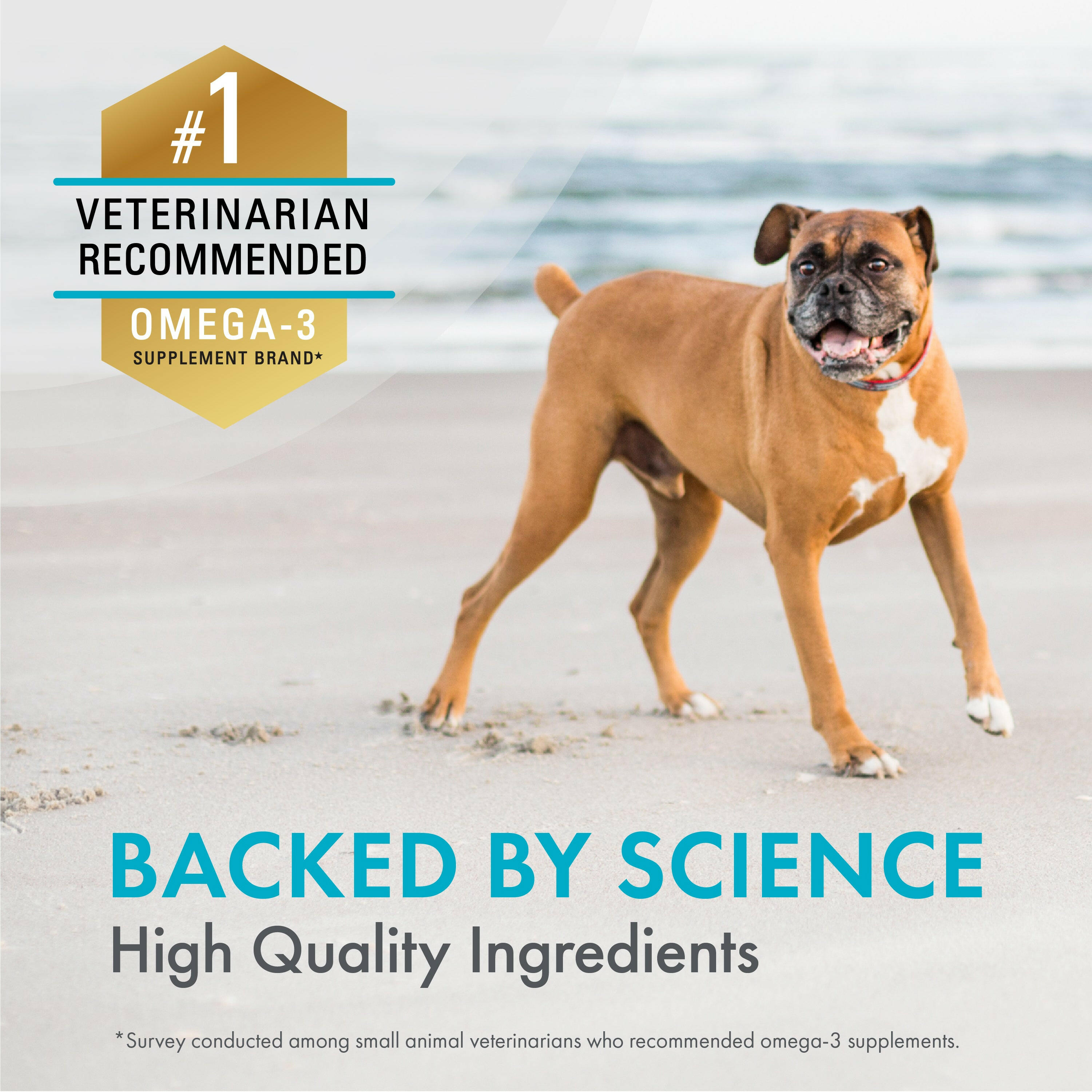 Nutramax Welactin Omega-3 Supplement for Dogs Skin, Coat Joints