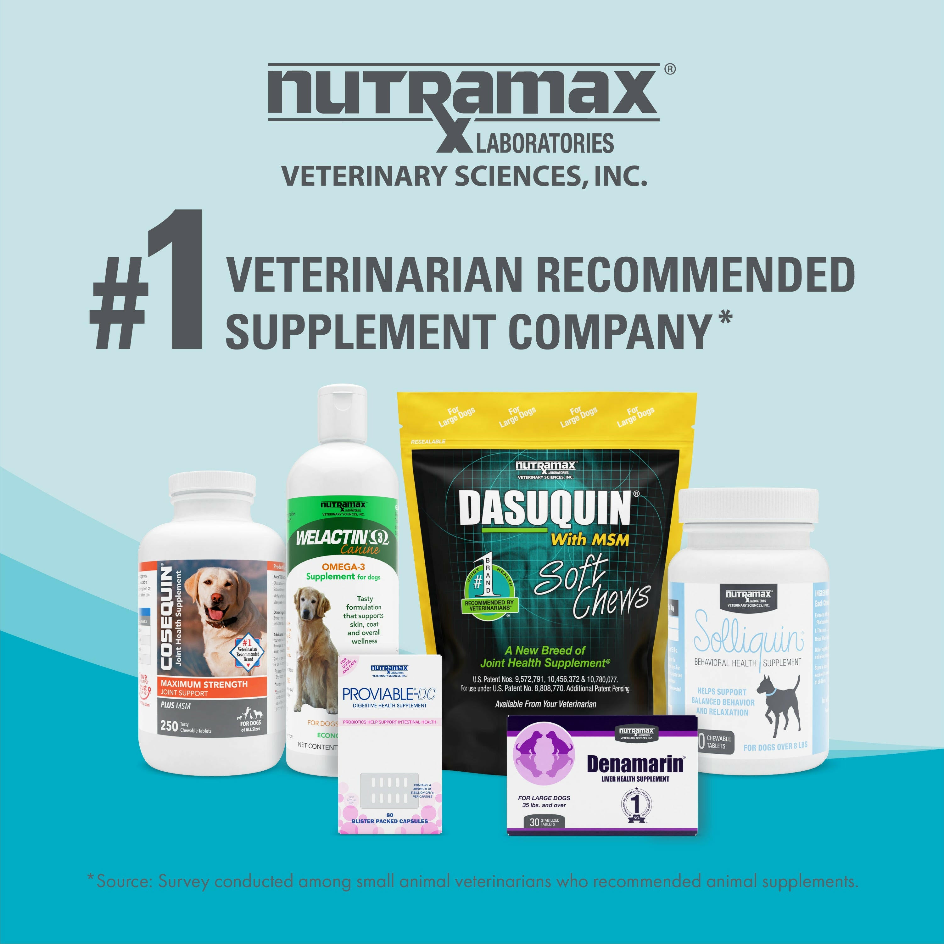 nutramax for dogs