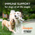 Nutramax Imuquin Immune Health Supplement Powder for Dogs, With Beta Glucans, Marine Lipids, Vitamins and Minerals, 30 Packets