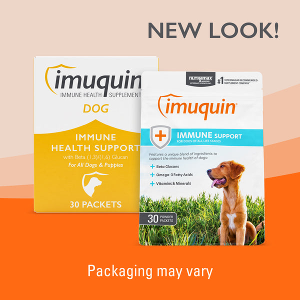 Nutramax Imuquin Immune Health Supplement Powder for Dogs, With Beta Glucans, Marine Lipids, Vitamins and Minerals, 30 Packets