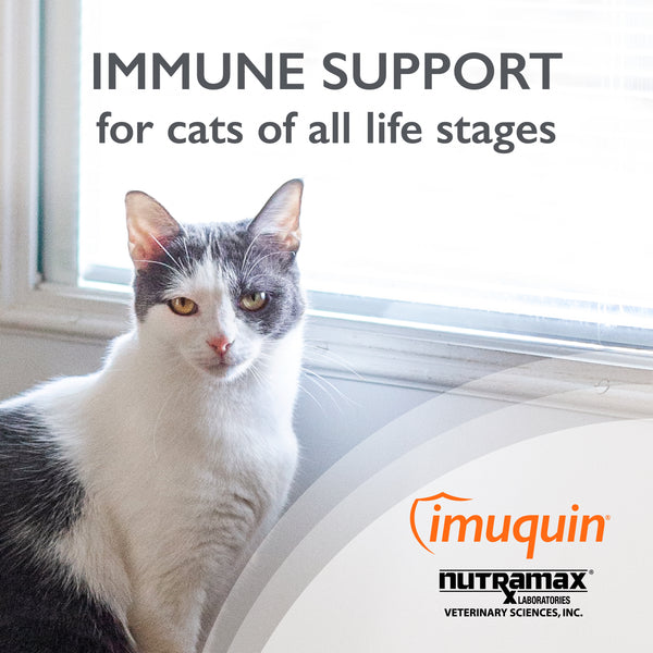 Imuquin for Cats