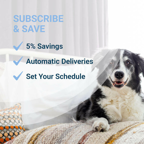 Nutramax Solliquin Calming Behavioral Health Supplement for Large Dogs – 75 Soft Chews