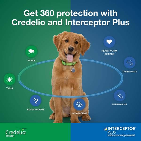 Credelio + Interceptor Plus 6-Month Bundle - 0