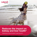 Galliprant (Grapiprant) Flavored Tablets for Dogs-5