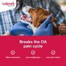 Galliprant (Grapiprant) Flavored Tablets for Dogs-4