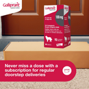 Galliprant (Grapiprant) Flavored Tablets for Dogs-8