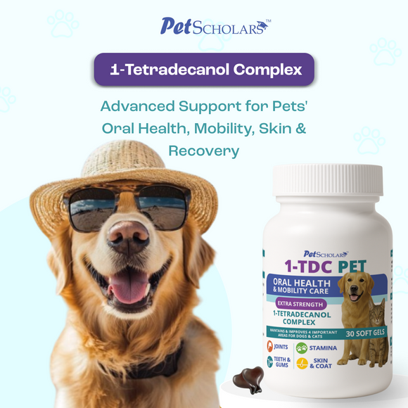 Pet Scholars 1-TDC Dental and Joint Health Softgel Supplement for Dogs and Cats