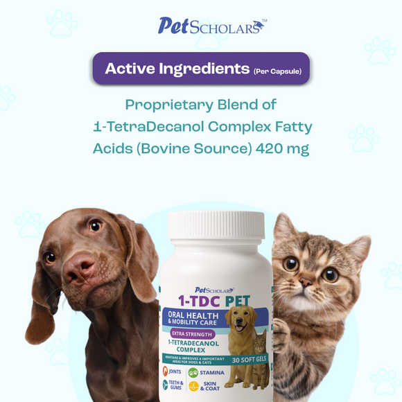 Pet Scholars 1-TDC Dental and Joint Health Softgel Supplement for Dogs and Cats