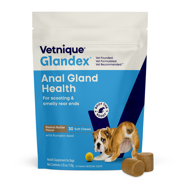 Glandex Anal Gland Support Peanut Butter Soft Chews for Dogs