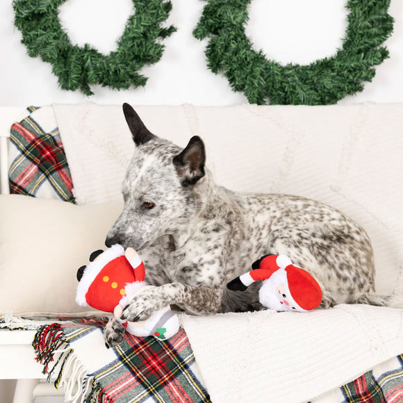 Dog sitting on a couch with Christmas decorations and a toy, surrounded by festive pillows and wreaths.