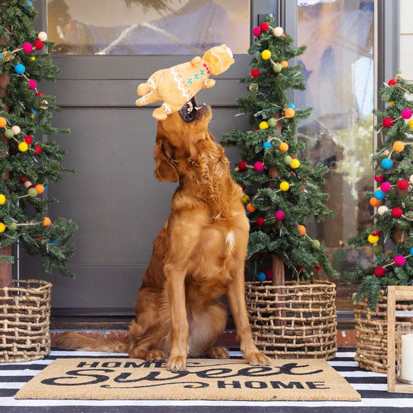 PetShop by Fringe Studio Cookie-Saurus Plush Dog Toy