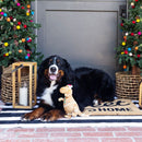 PetShop by Fringe Studio Cookie-Saurus Plush Dog Toy-4