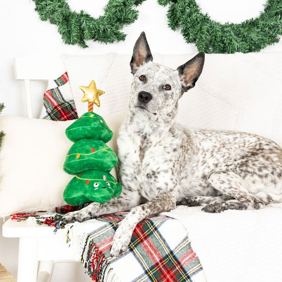 Dog sitting on a couch with a Christmas tree toy and plaid blanket, surrounded by green wreaths.