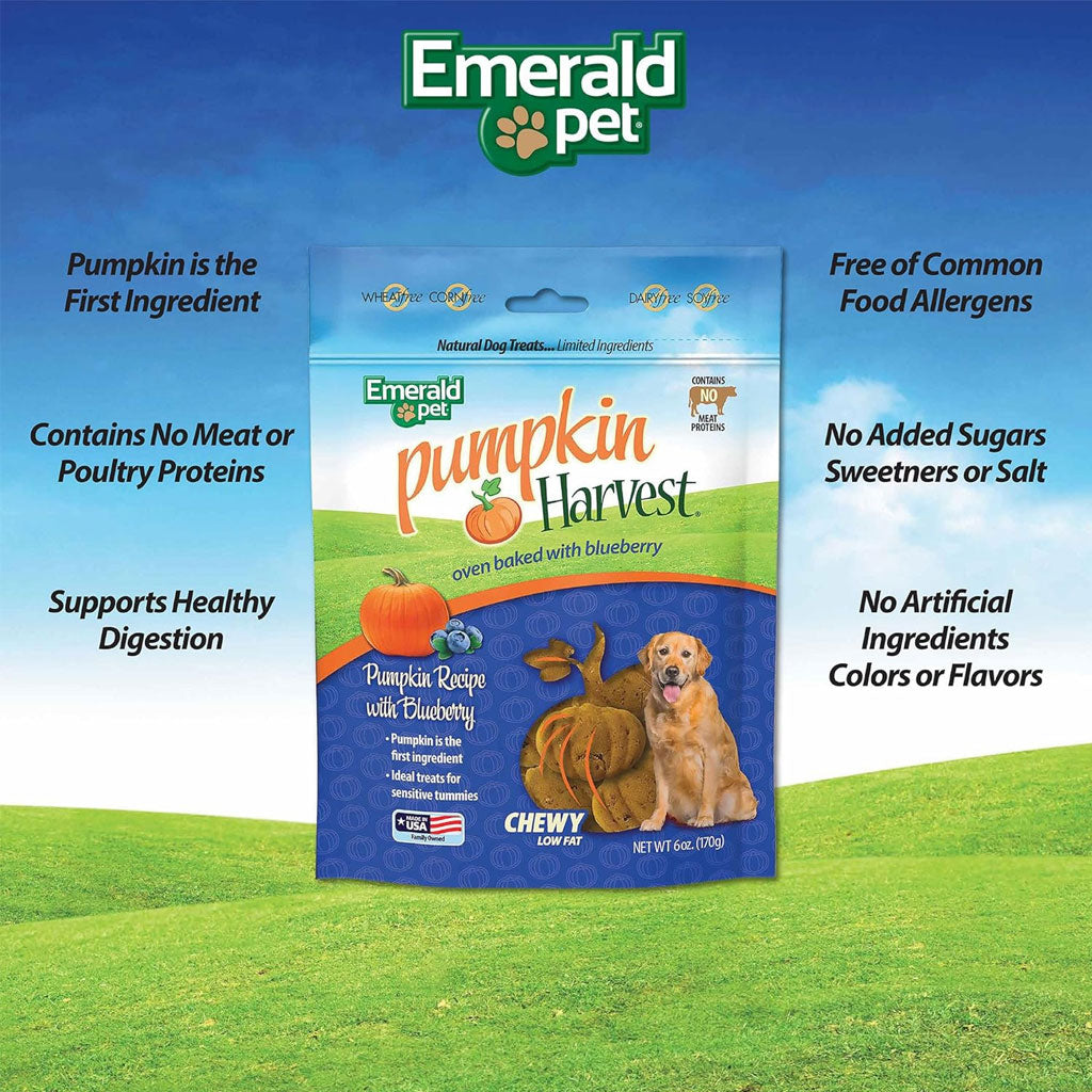 Emerald Pet Pumpkin Harvest Oven Baked with Blueberry Chewy Dog Treats