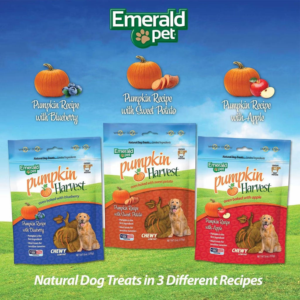 Emerald Pet Pumpkin Harvest Oven Baked with Blueberry Chewy Dog Treats