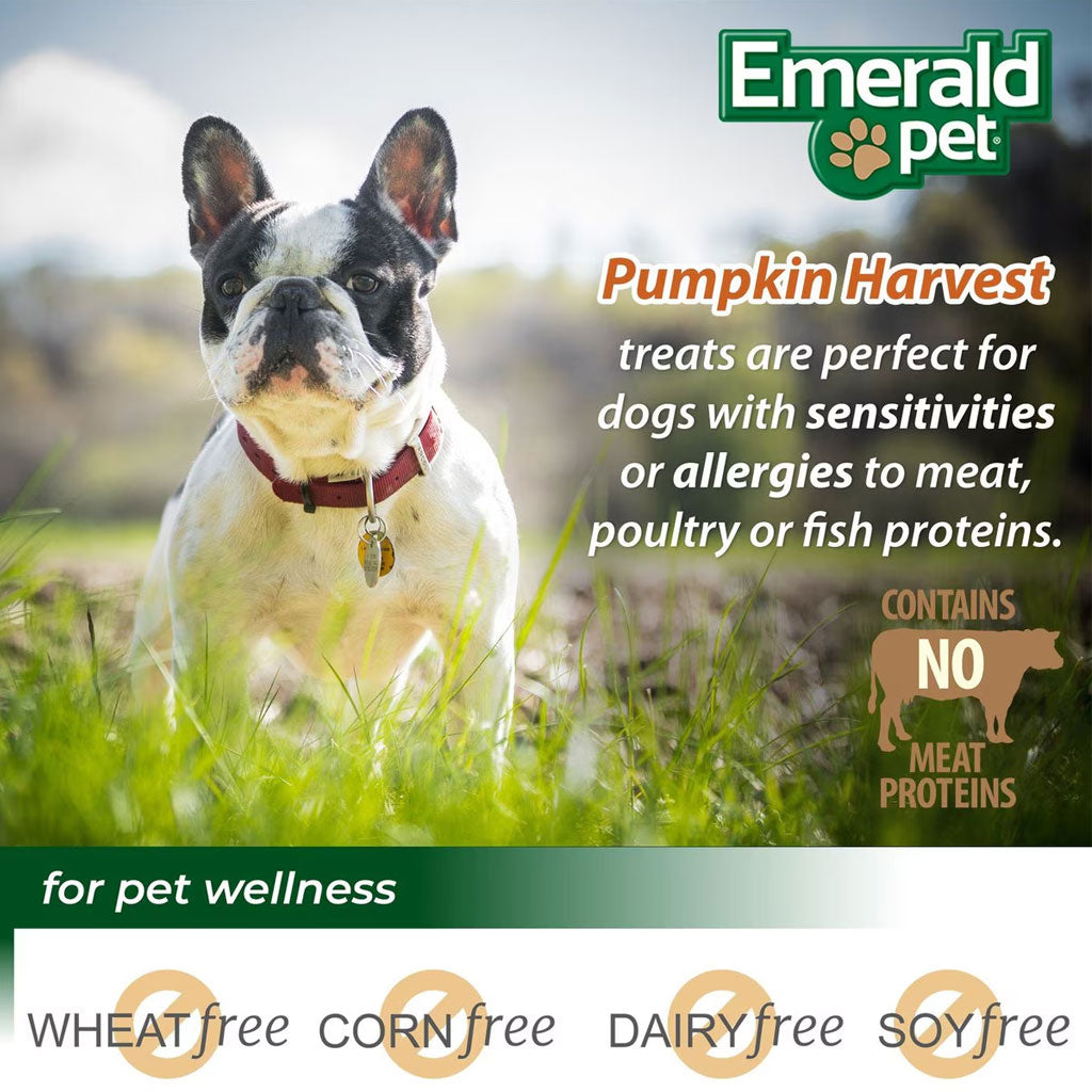 Emerald Pet Pumpkin Harvest Oven Baked with Blueberry Chewy Dog Treats