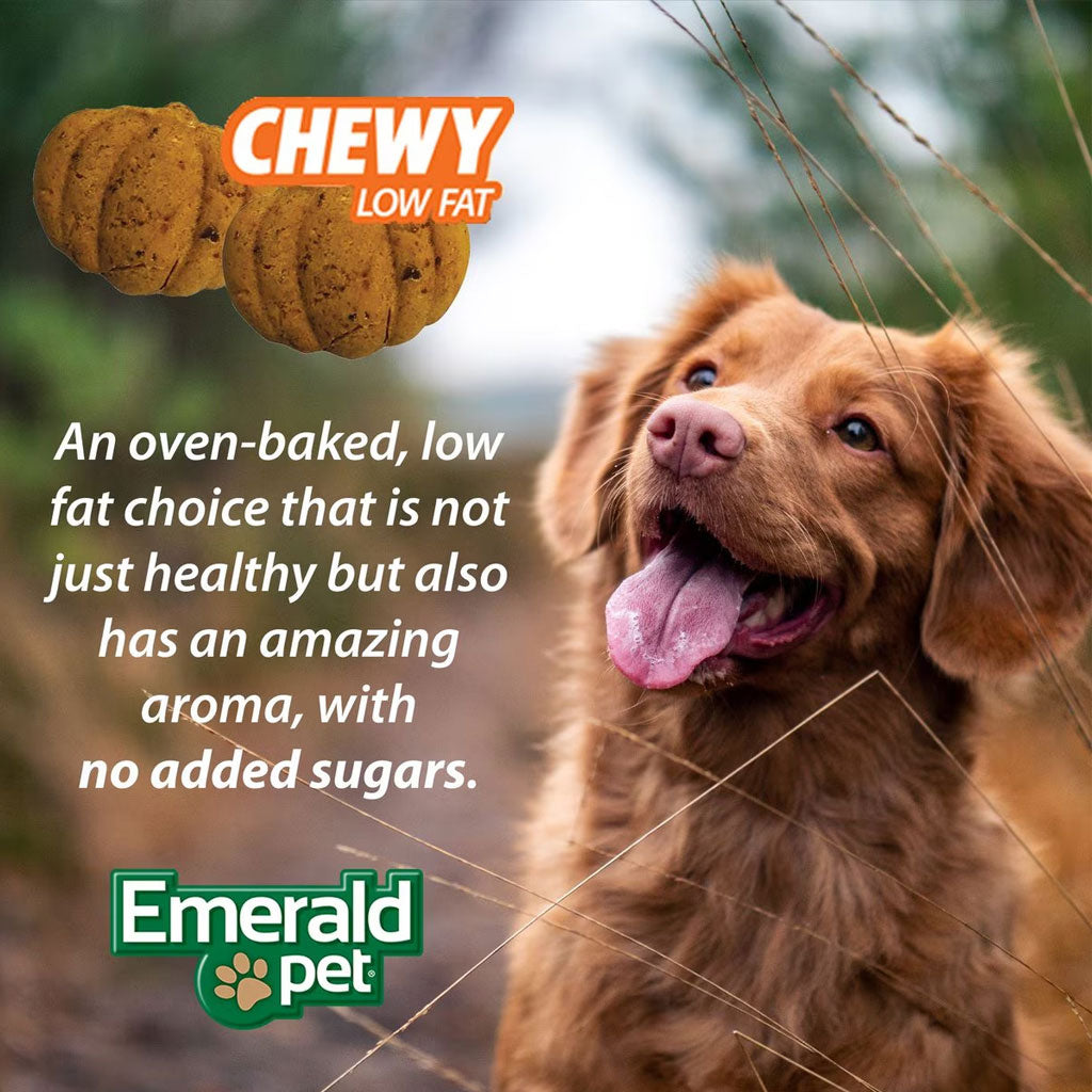 Emerald Pet Pumpkin Harvest Oven Baked with Blueberry Chewy Dog Treats