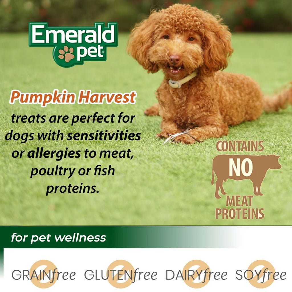 Emerald Pet Pumpkin Harvest Oven Baked with Blueberry Chewy Dog Treats