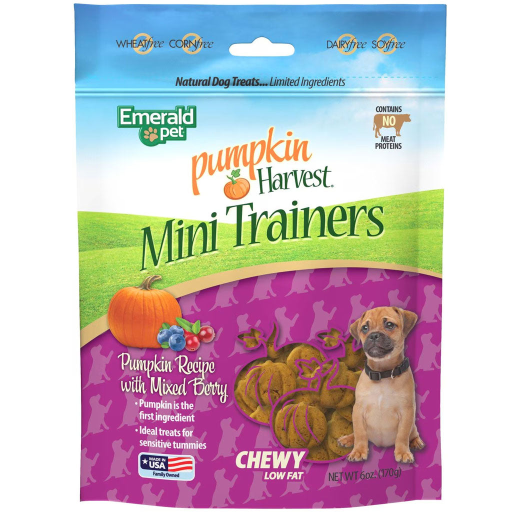 Emerald Pet Pumpkin Harvest Mini Trainers Pumpkin Recipe with Mixed Berry Dog Treats, 6-oz