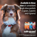 safe guard for dogs