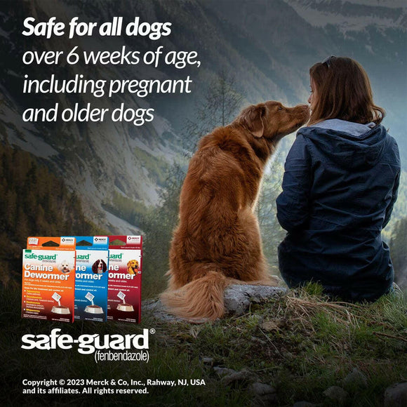 Merck Safe-Guard Canine Dewormer for Dogs 6 weeks and older, 4 gram