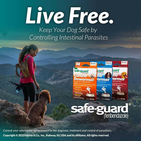 Merck Safe-Guard Canine Dewormer for Dogs 6 weeks and older, 4 gram