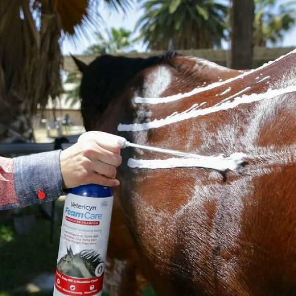 horse medicated shampoo for girth itch