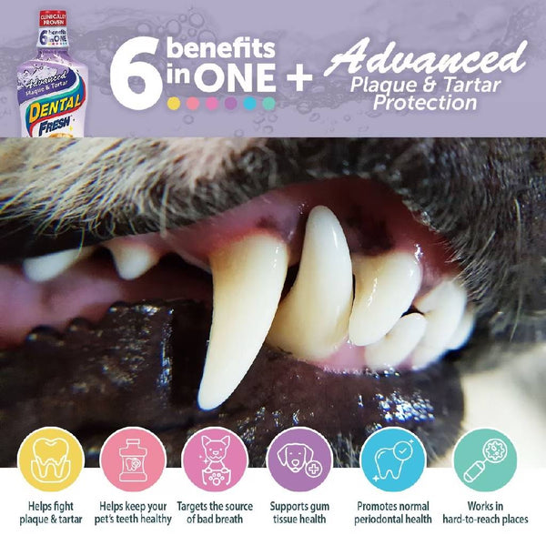 Dental Fresh Advanced Plaque & Tartar Water Additive for Dogs (17 oz)