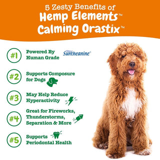 Zesty Paws Hemp Elements Orastix Calming Original Flavor Dog (12 oz)