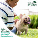 Tropiclean Fresh Breath Toothbrush For Small Dogs