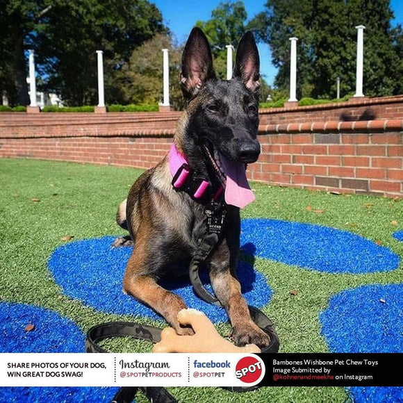 Ethical Bambone Wish Bone Chicken Flavor For Dogs (7")