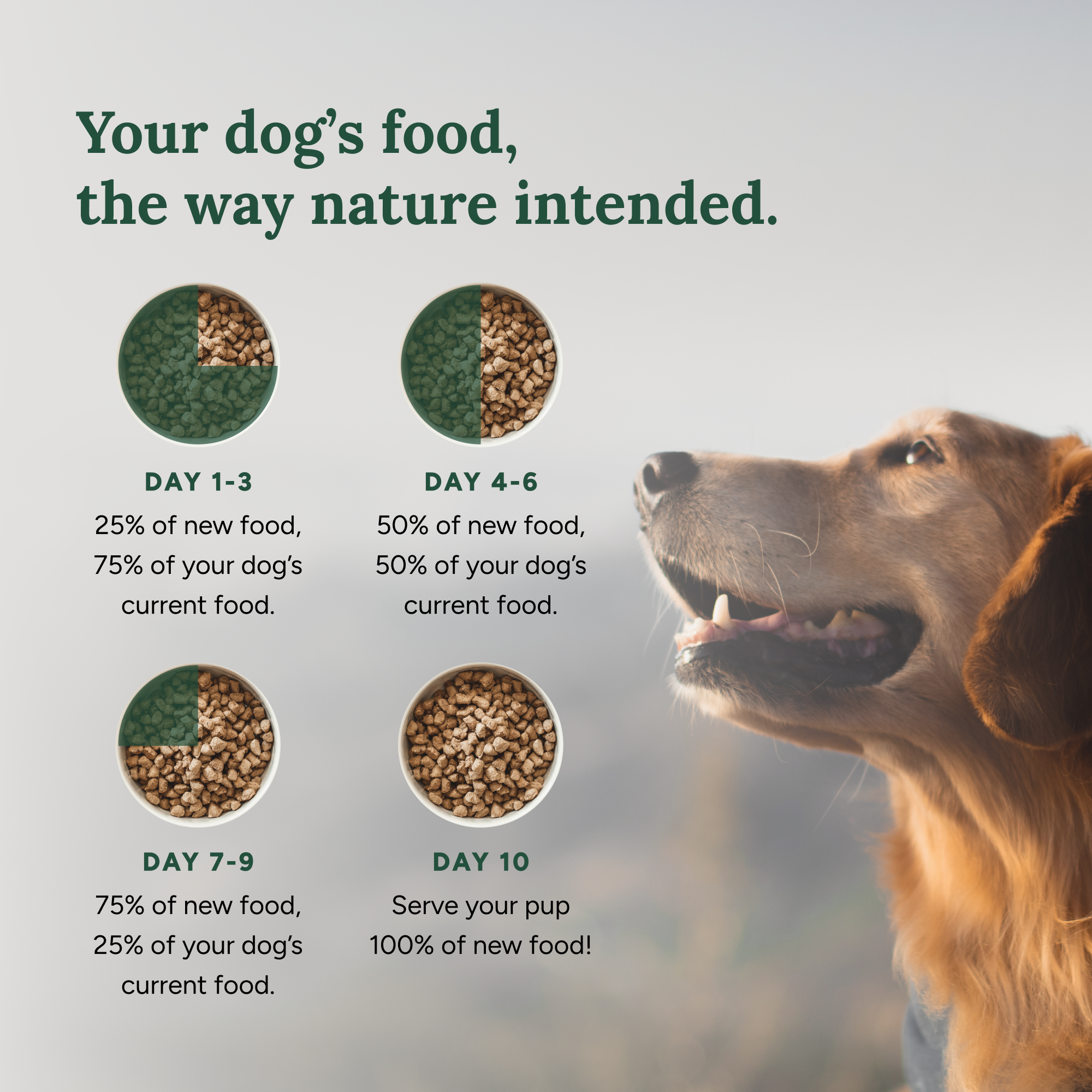 360 Pet Nutrition Chicken Formula Freeze-Dried Raw Dog Food