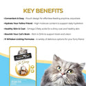 Fussie Cat Premium Ocean Fish in Gravy Wet Cat Food